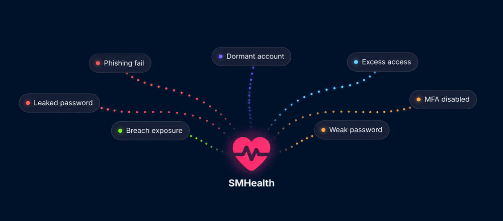 smhealth-risk-flow-bg-001229-corrected