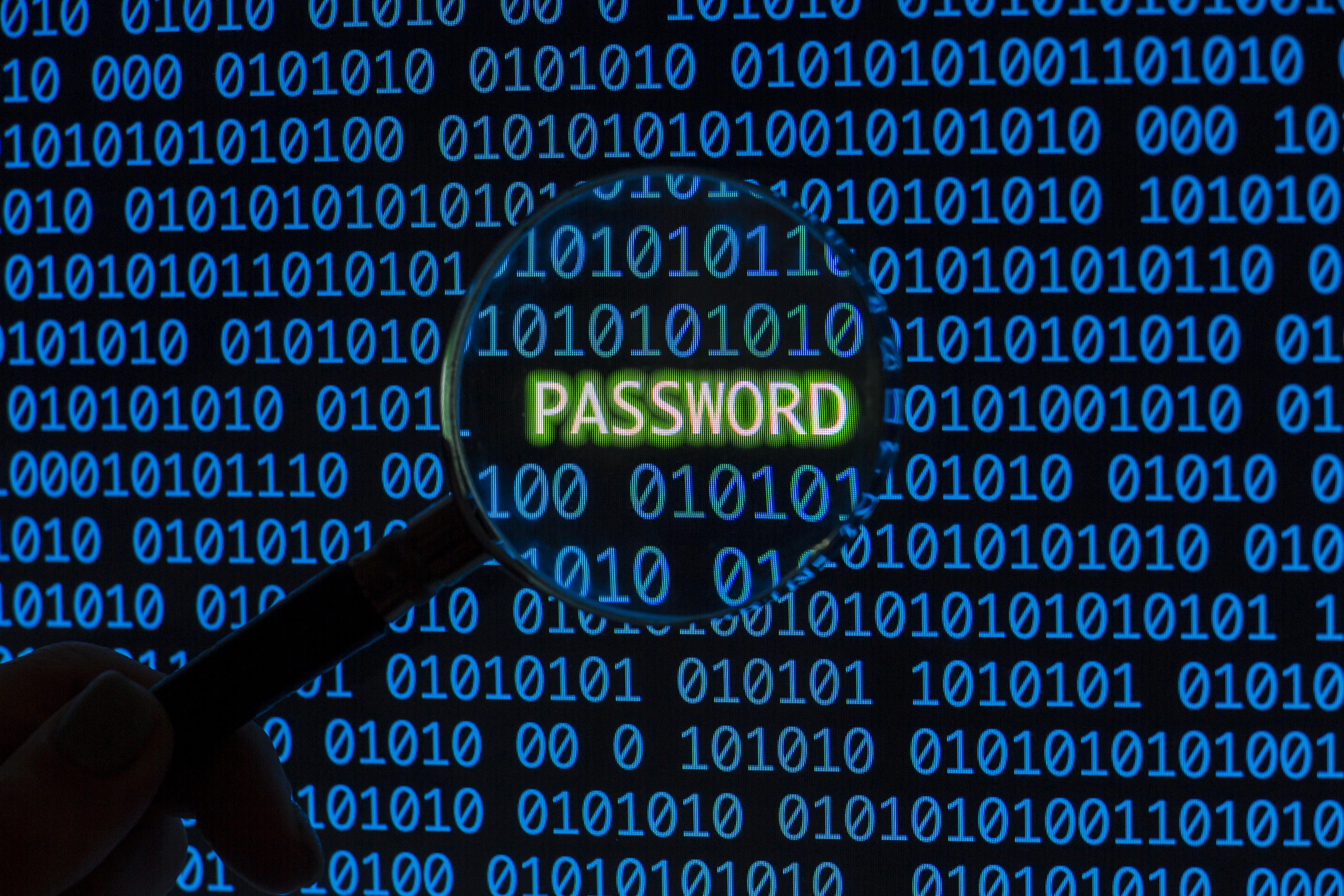 Password Bocor 